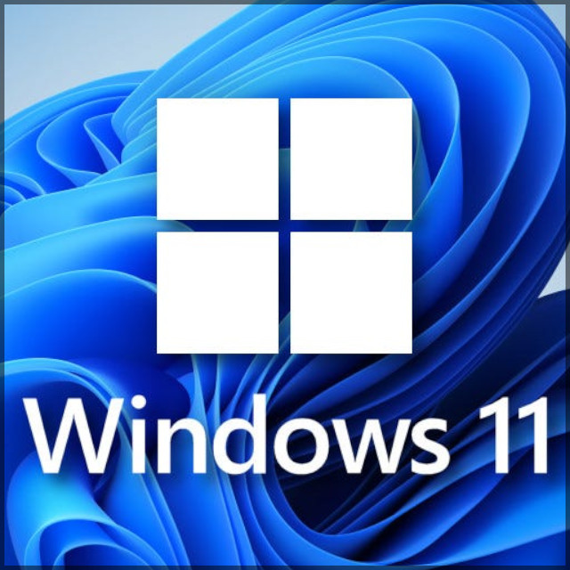 Windows 11