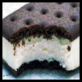 sandwich mordido
