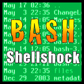 Shellshock (Bash)